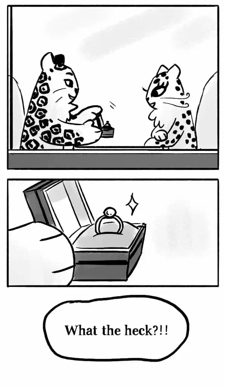 Roar Street Journal 49