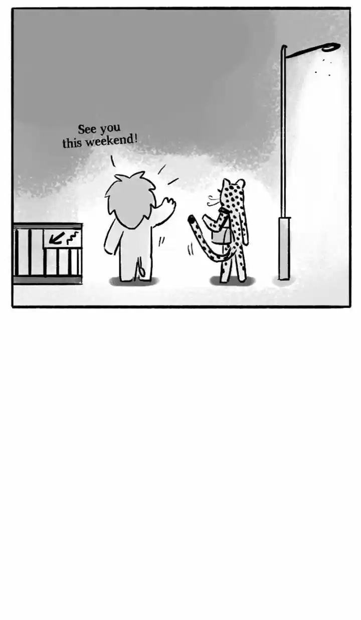 Roar Street Journal 50