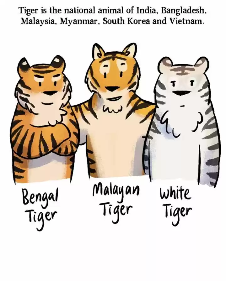 Roar Street Journal 53