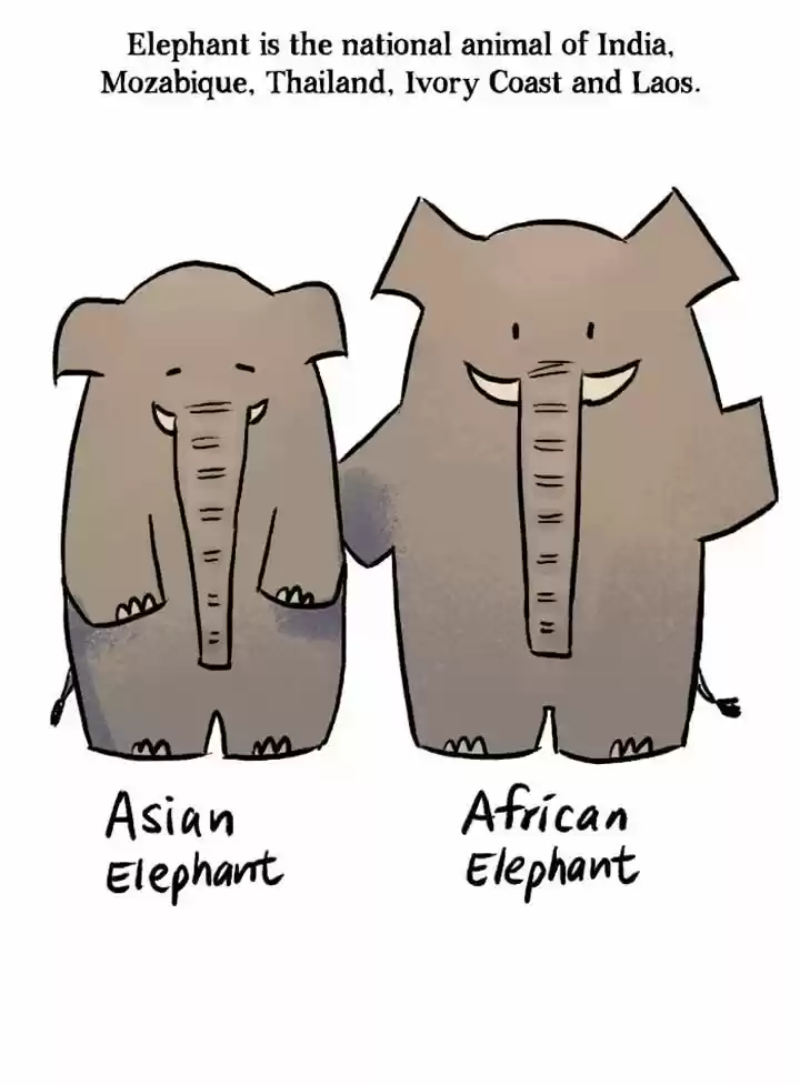 Roar Street Journal 53