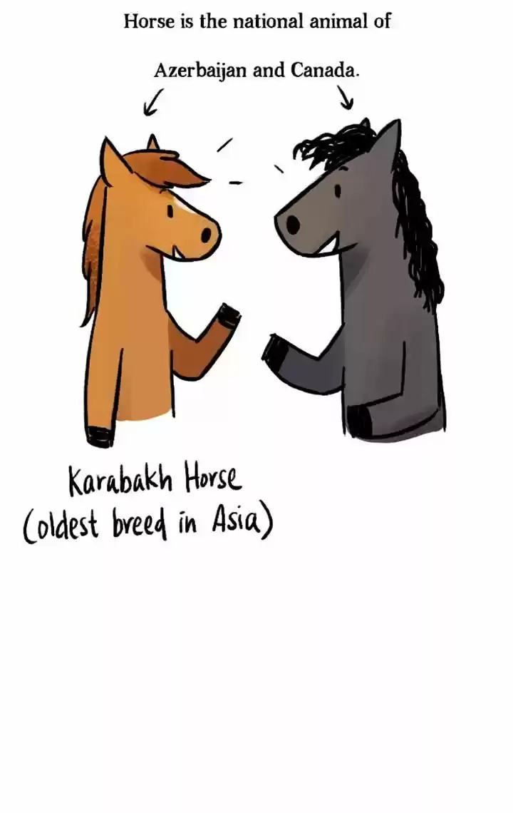 Roar Street Journal 53