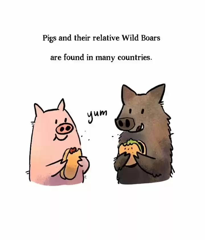 Roar Street Journal 53