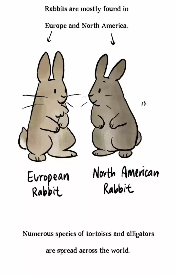 Roar Street Journal 53