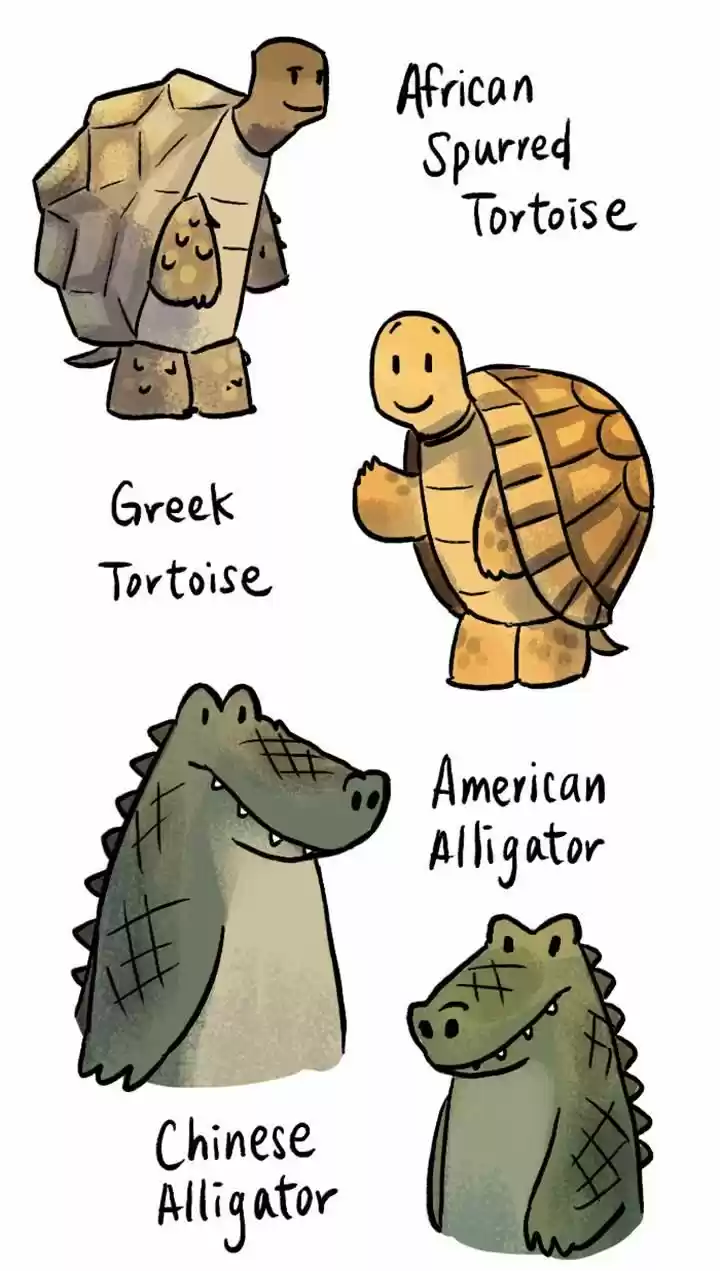 Roar Street Journal 53