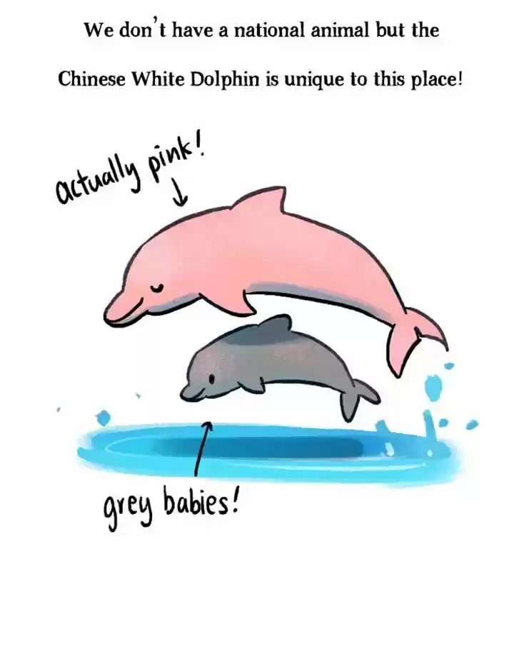 Roar Street Journal 54