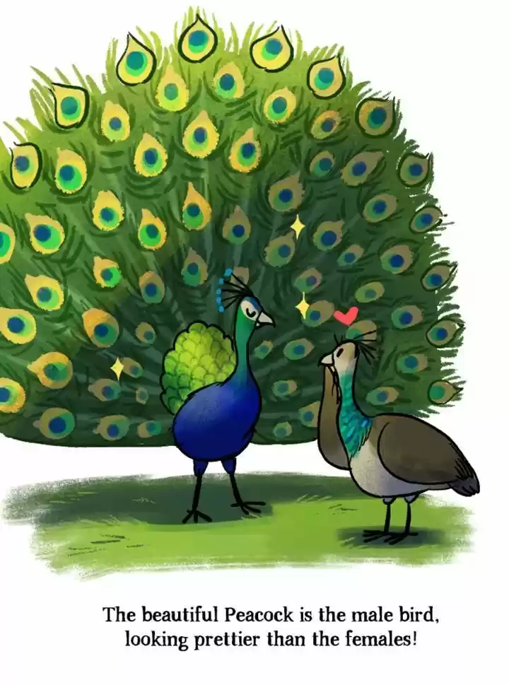 Roar Street Journal 58