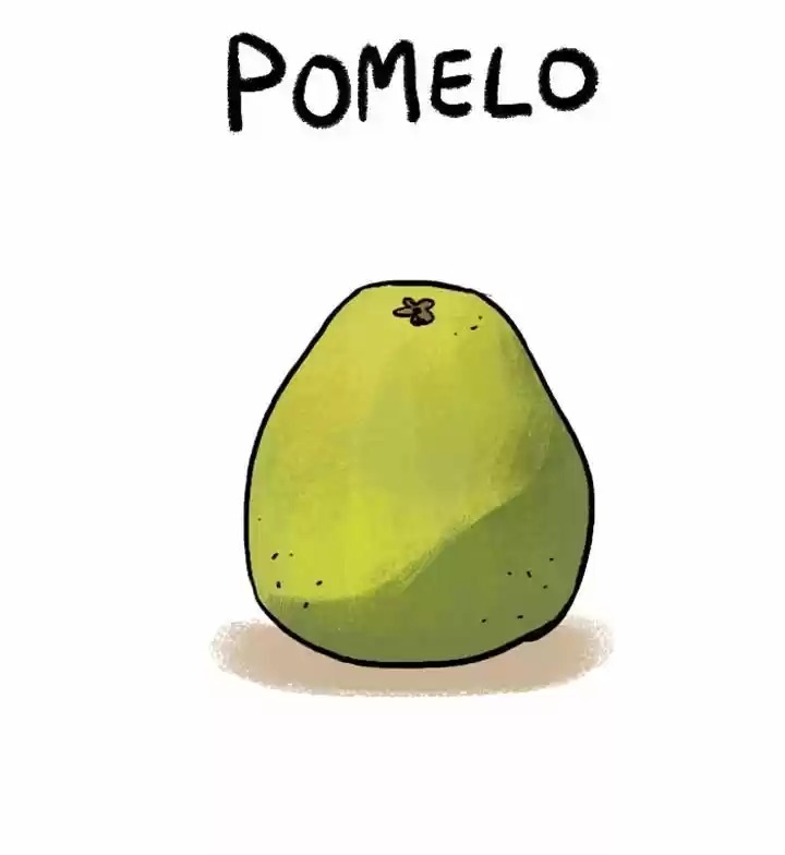 Roar Street Journal 60