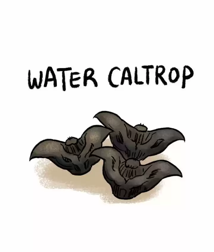 Roar Street Journal 60