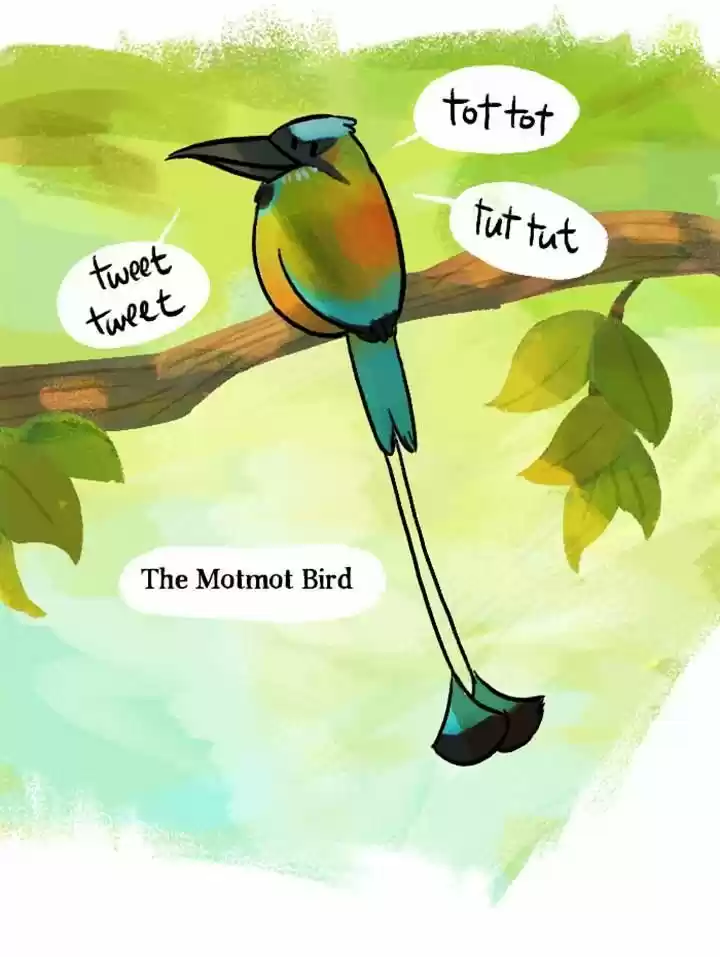 Roar Street Journal 60