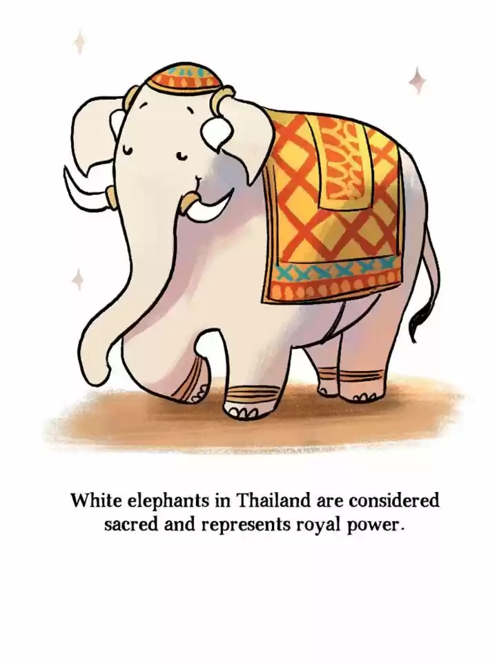 Roar Street Journal 62