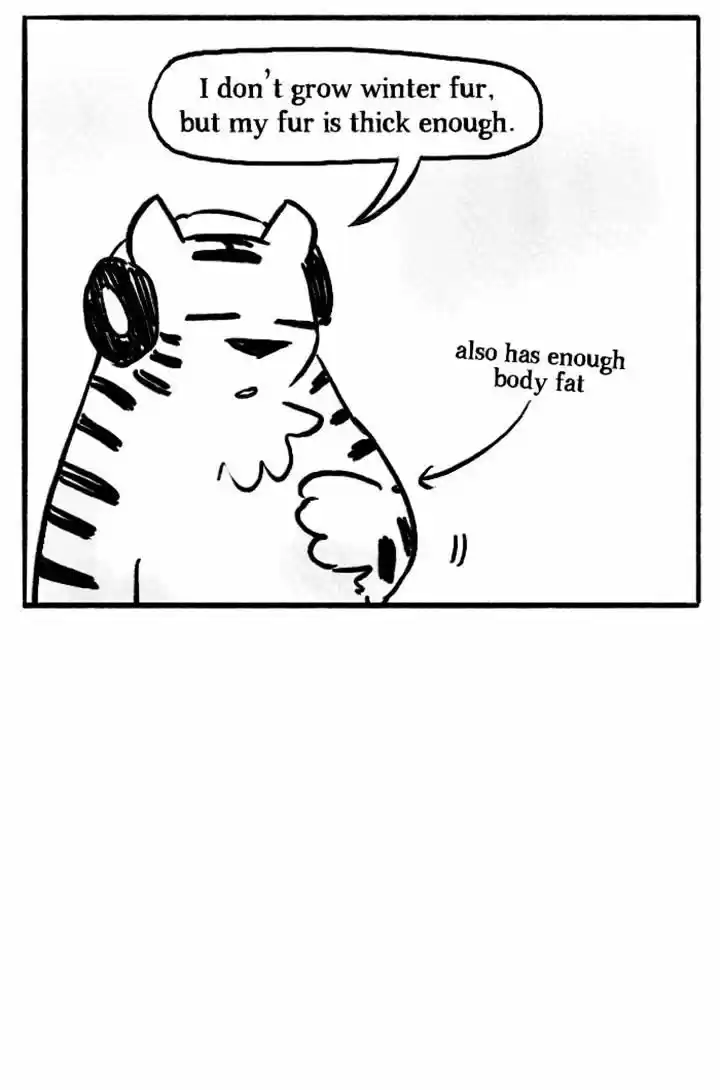 Roar Street Journal 65