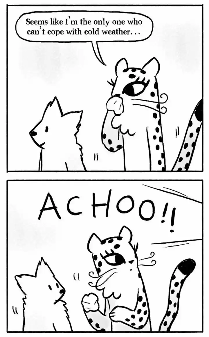 Roar Street Journal 65