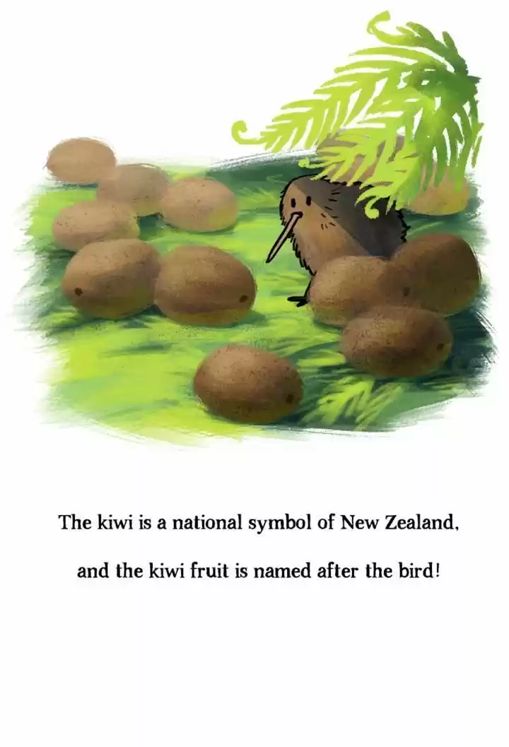 Roar Street Journal 65