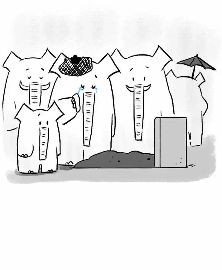 Roar Street Journal 67