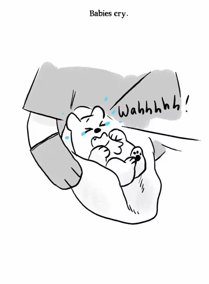 Roar Street Journal 67