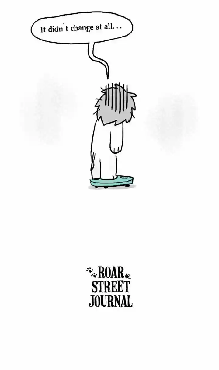 Roar Street Journal 68