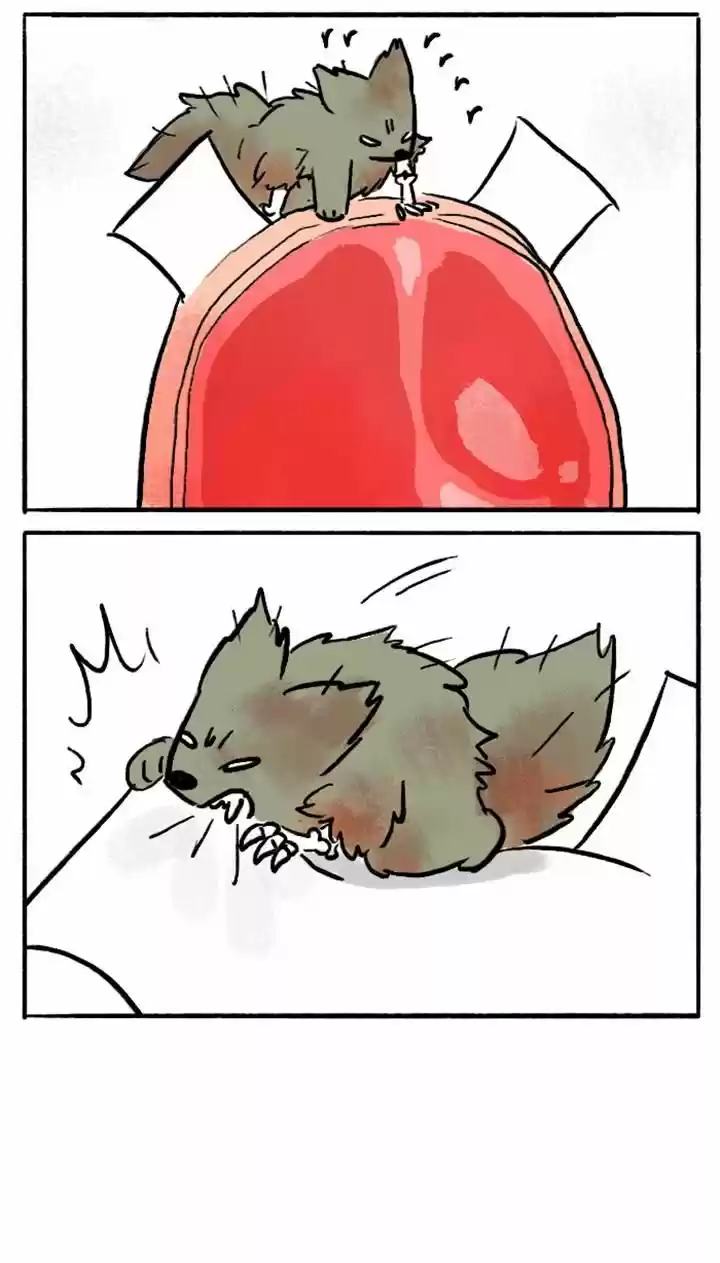 Roar Street Journal 70