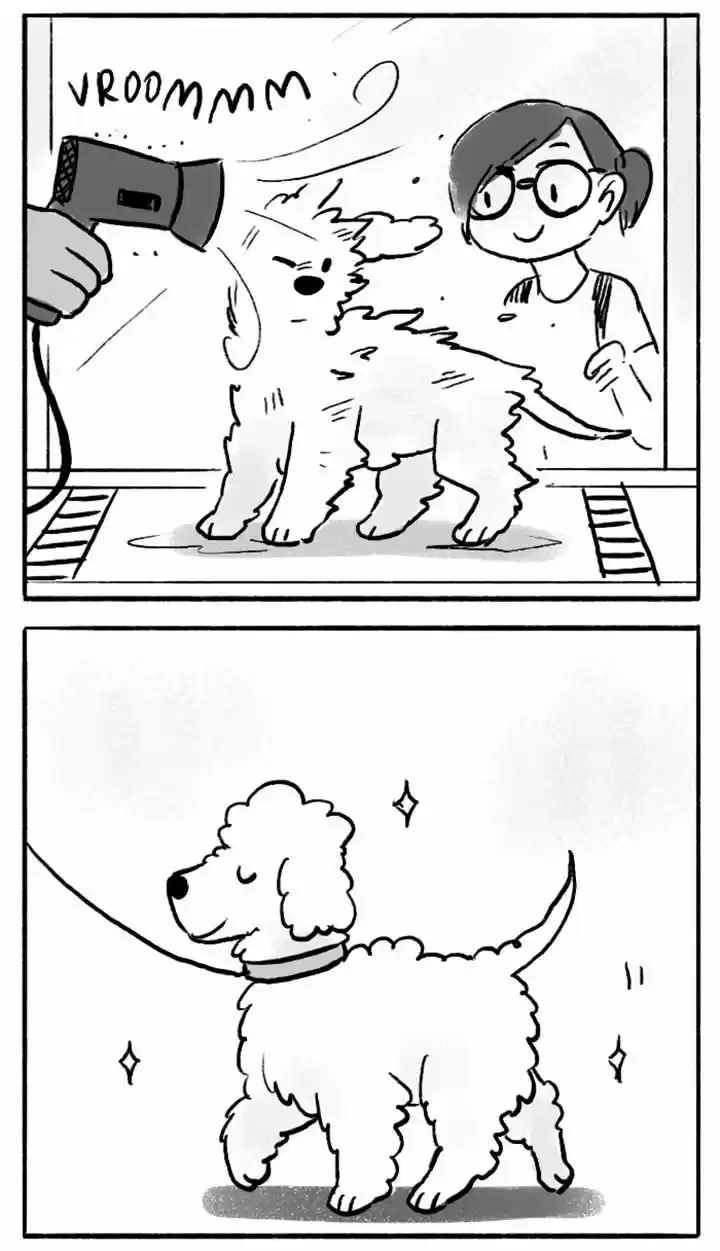 Roar Street Journal 71