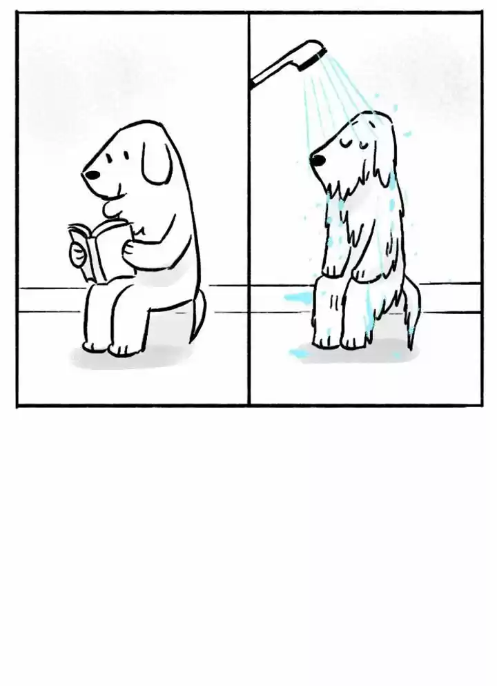 Roar Street Journal 71