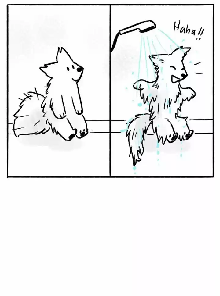 Roar Street Journal 71