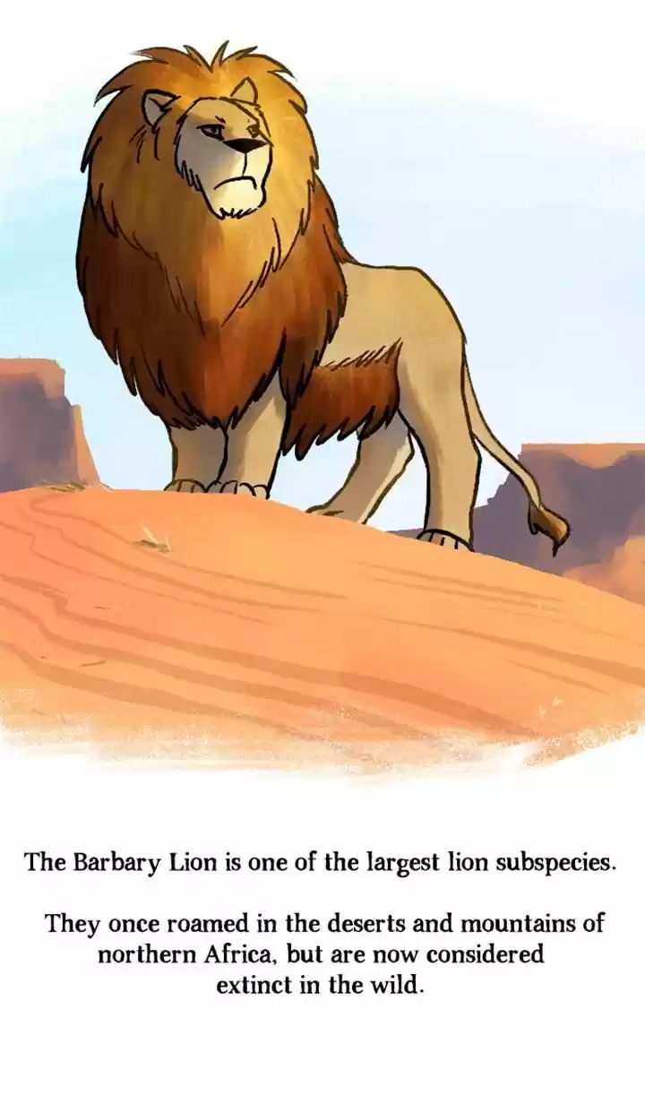 Roar Street Journal 71