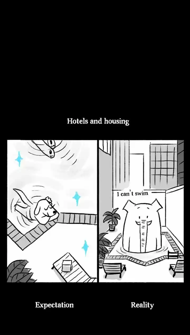 Roar Street Journal 74