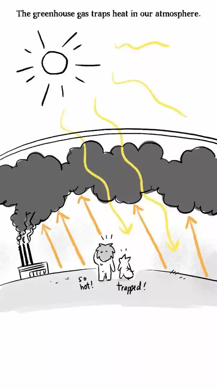 Roar Street Journal 78