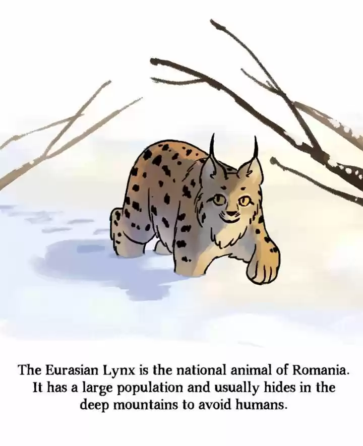 Roar Street Journal 78