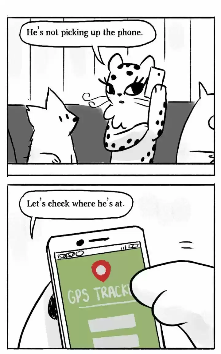 Roar Street Journal 80