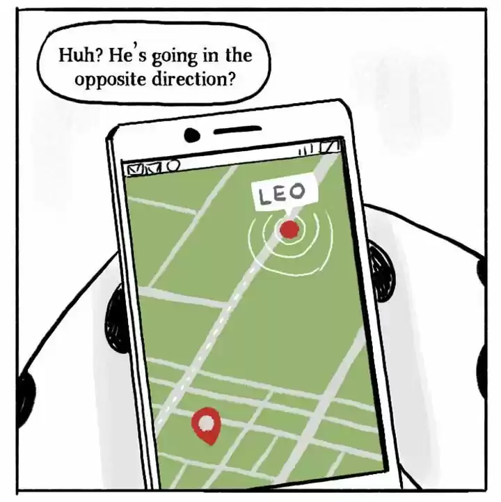 Roar Street Journal 80