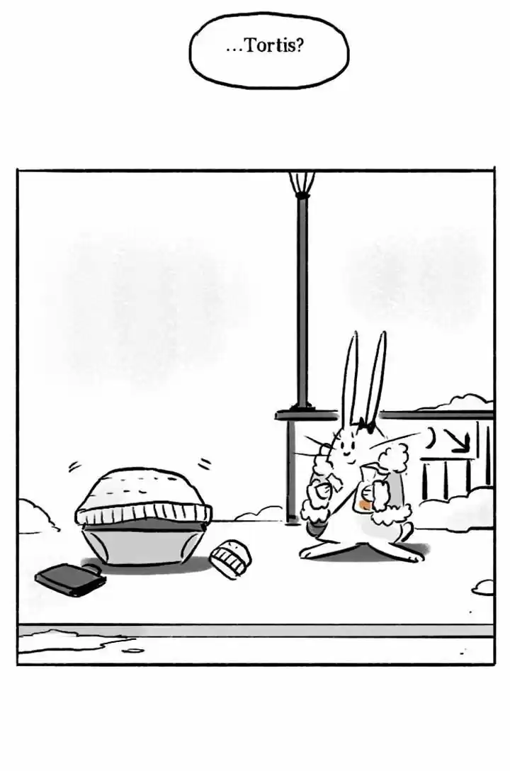 Roar Street Journal 84