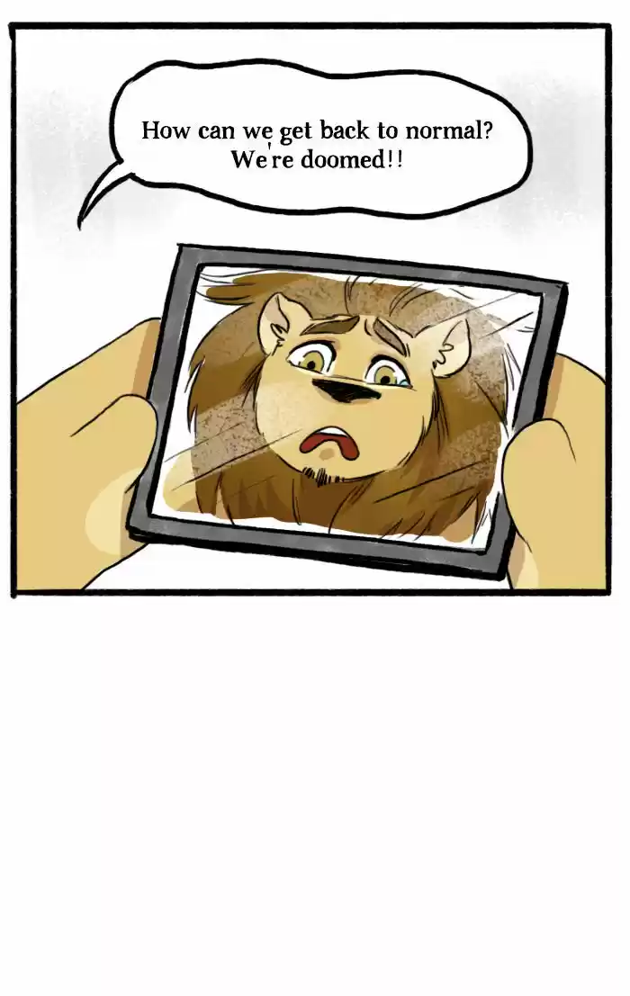 Roar Street Journal 9