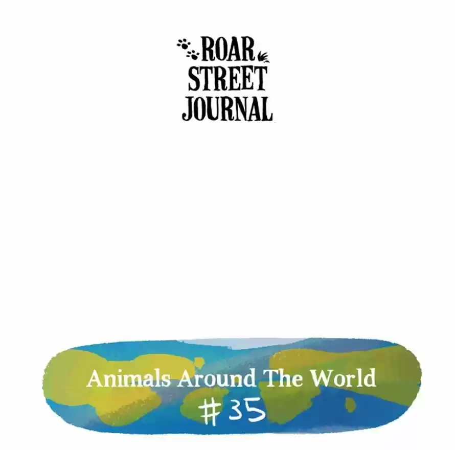 Roar Street Journal 90