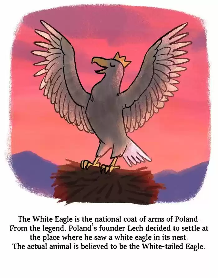 Roar Street Journal 91