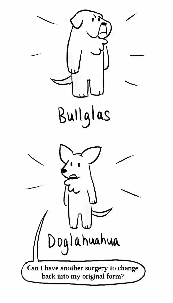 Roar Street Journal 94