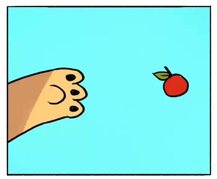 Roar Street Journal 95