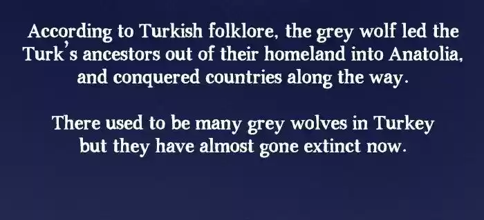 Roar Street Journal 96