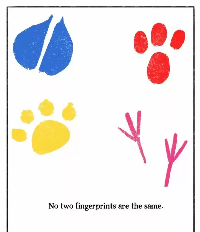 Roar Street Journal 97