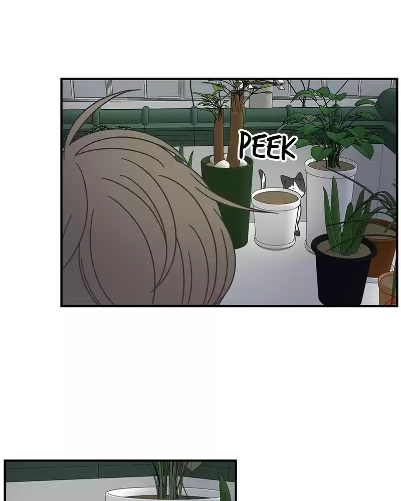 Romance 101 Chapter 54