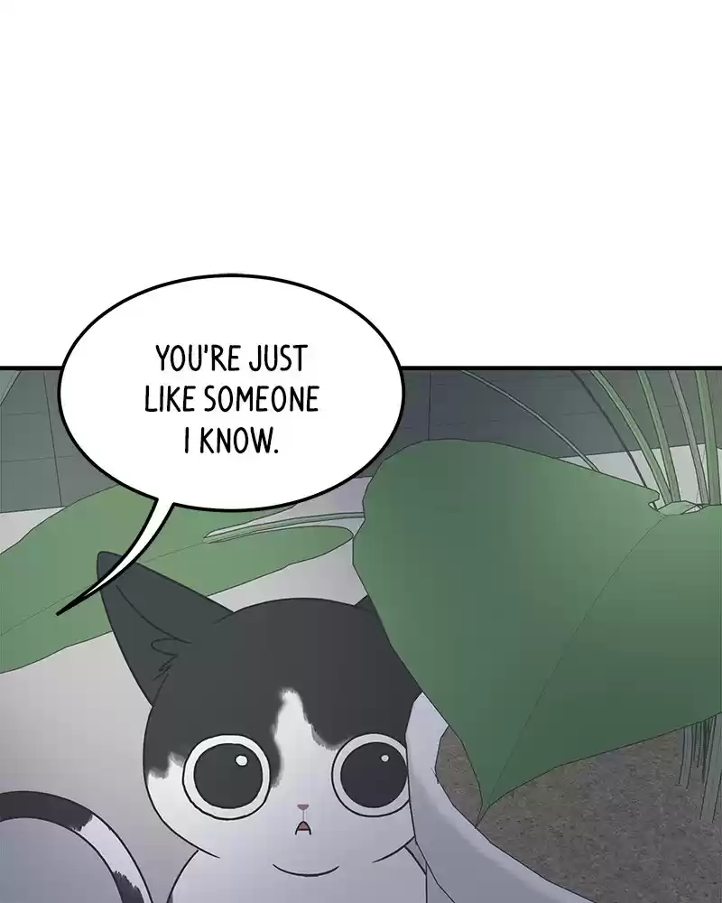 Romance 101 Chapter 54