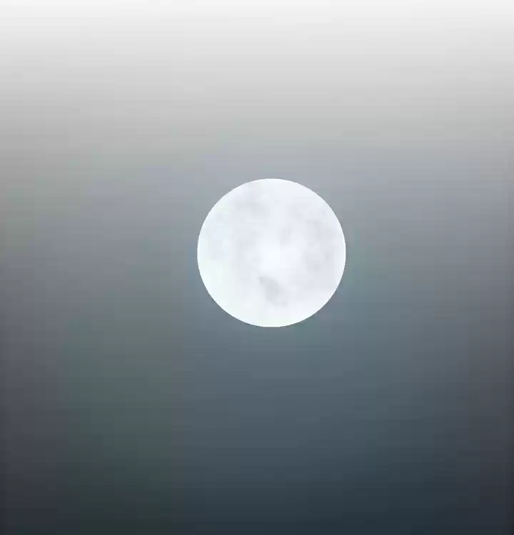 Rooftop Sword Master Ch. 28