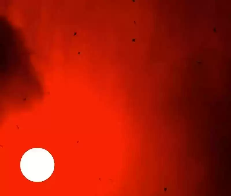 Room of Swords Chapter 91: