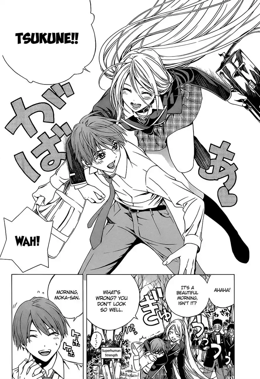 Rosario to Vampire Season II Vol. 14 Ch. 66.6 Afterstory