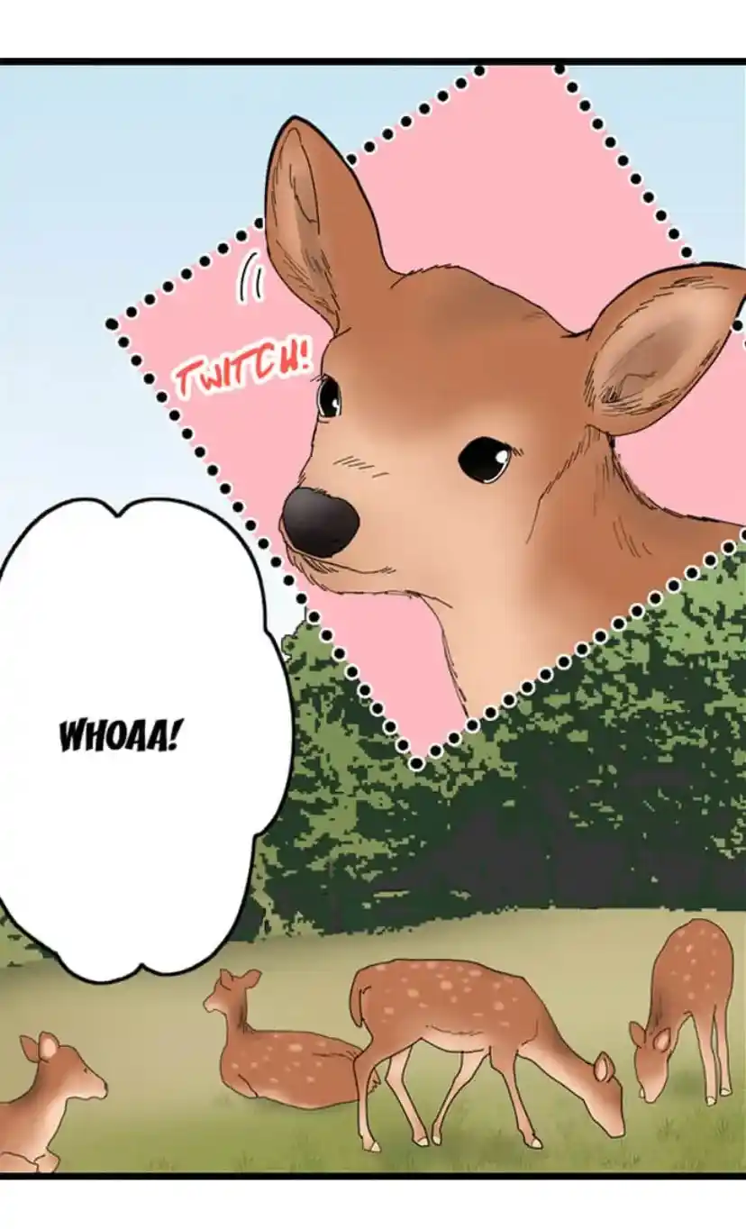 Running A Love Hotel With My Math Teacher Chapter 208