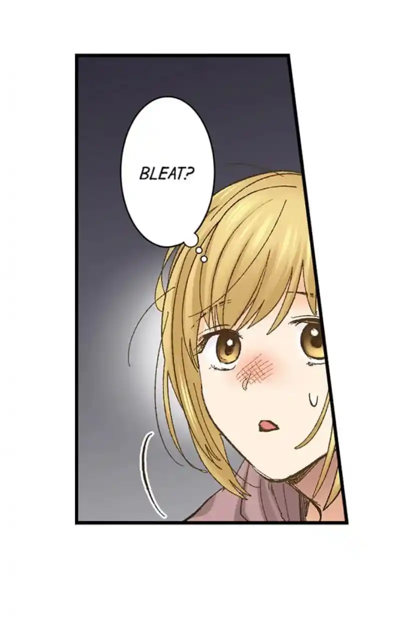 Running A Love Hotel With My Math Teacher Chapter 212