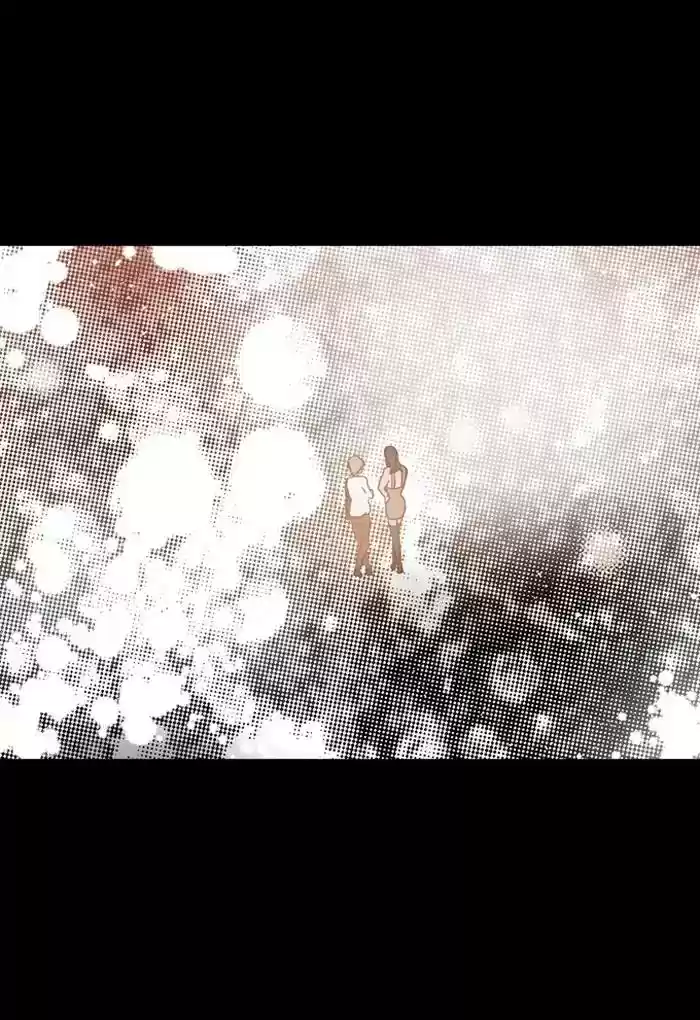 S. I. D. Chapter 205: