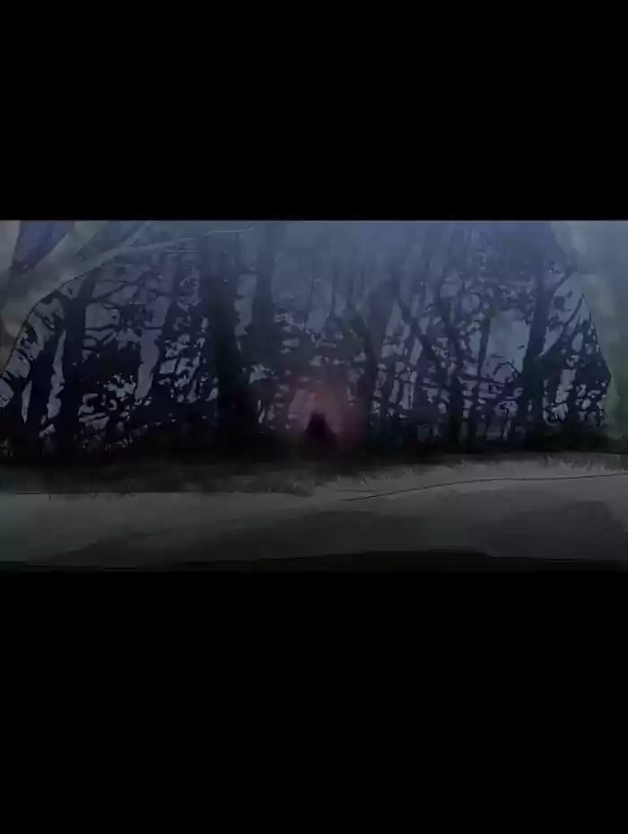 S. I. D. Chapter 209: