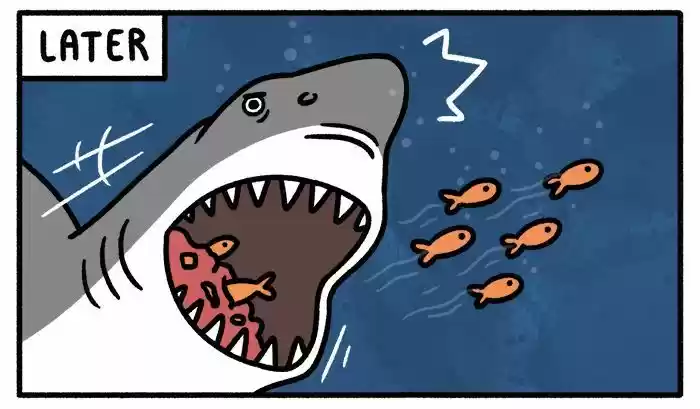 Safely Endangered 101