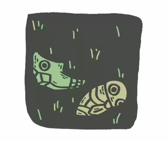 Safely Endangered 104