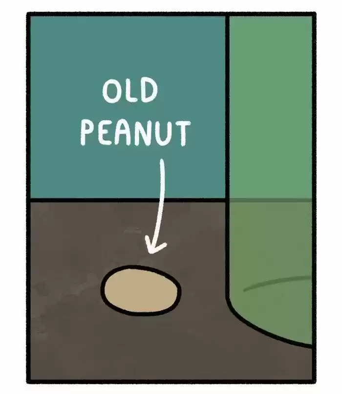 Safely Endangered 105